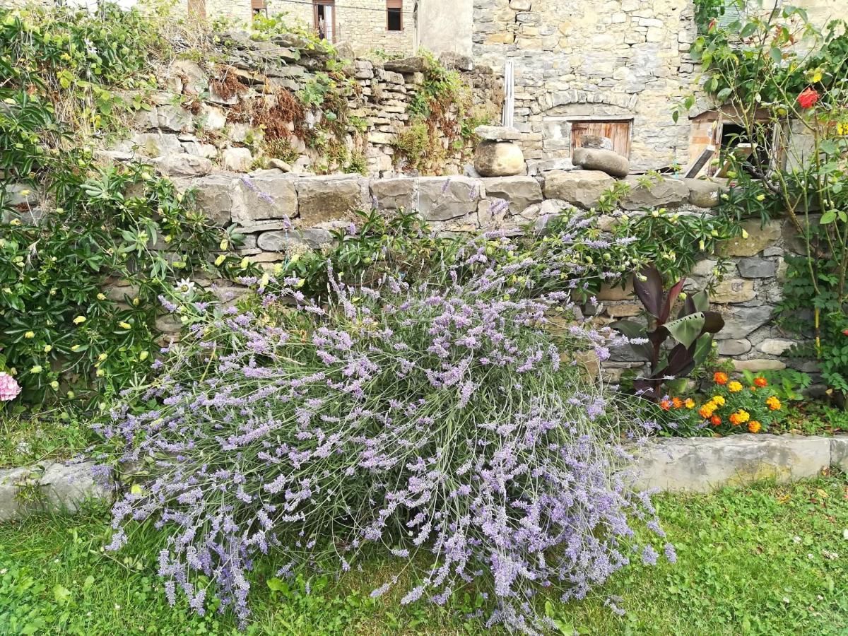 Casa La Abadia De Antin Διαμέρισμα Liguerre de Ara Εξωτερικό φωτογραφία