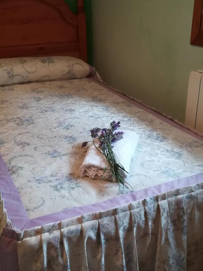 Casa La Abadia De Antin Διαμέρισμα Liguerre de Ara Εξωτερικό φωτογραφία